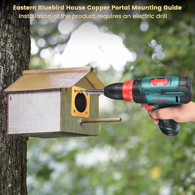 AQKILO Birdhouse Predator Guard, Helping Reduce Nest Destruction and Enhance Safety for Bird Chicks, 4 Pack, 1 1/4" (1.25in)