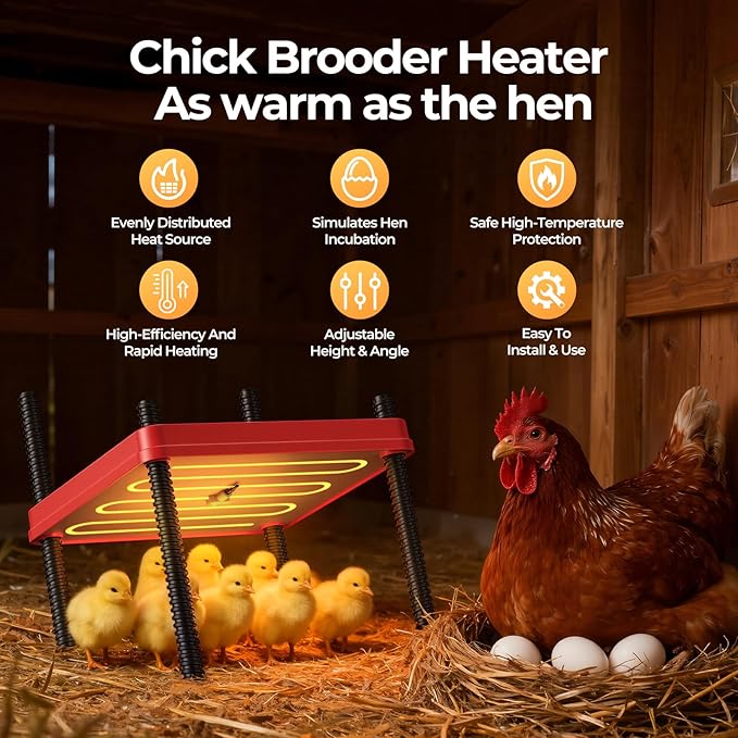 Chick Brooder Heating Plate for Winter, Chick Heating Plate with Thermal Protector, Adjustable Temp & Height, Energy Efficient Heater, 10"x10" for 10-12 Chicks