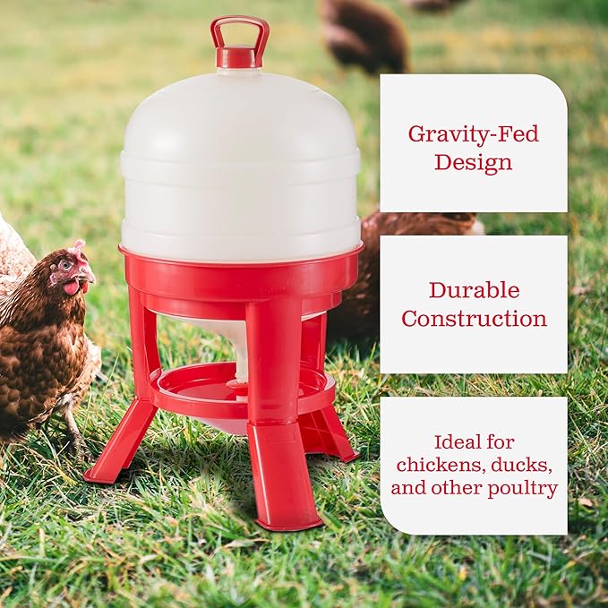 Little Giant DOMEWTR8 8 Gallon Tank Heavy Duty Plastic Dome Poultry and Chicken Gravity Water Dispenser with 3 Footed Stand, Red (2 Pack)