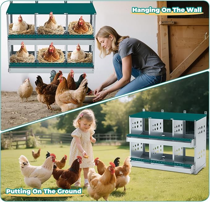 Chicken Nesting Box 6 Compartments, Metal Chicken Laying Boxes Wall Mountable, Easy Egg Collection Roll Away Nesting Boxes Chicken, Chicken Coop Nesting Boxes for Hens Laying Eggs