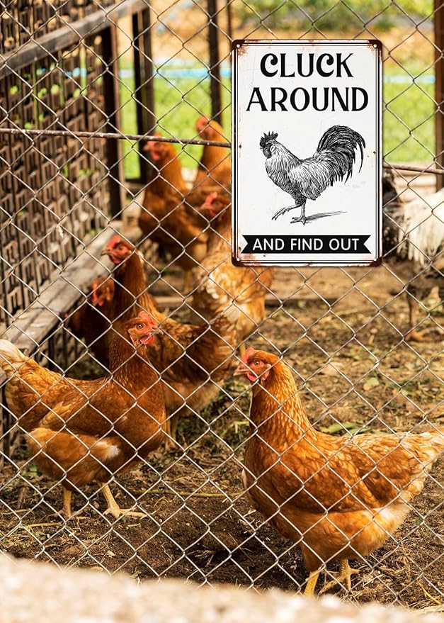 Cluck Around and Find Out Metal Tin Sign for Home Farmhouse Chicken Coop Home Kitchen Wall Decoration Chicken Coop Accessories Decor Wall Art 8x12 Inch