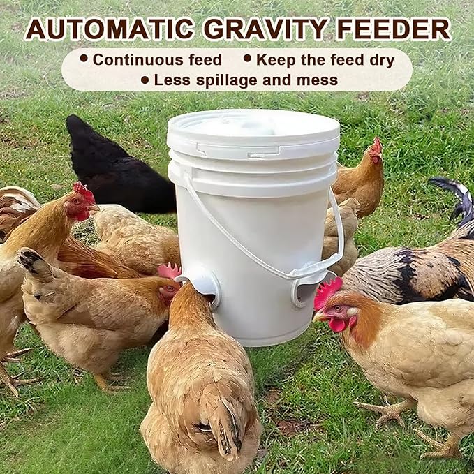 Chicken Feeder No Waste - 6 Pack Automatic Chicken Feeder with Lid and Hole Saw Rat & Rain Proof, Poultry Feeder for Buckets, Barrels, Bins, Boxes, Tanks