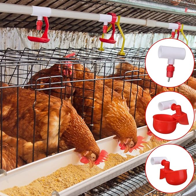 Outus 50 Pack Chicken Waterer PVC Tee Fittings, Fully Automatic Poultry Waterer PVC Fittings for Threaded Chicken Water Nipples, Cups, Drinker, Feeder, Duck, Quail, Turkey Coop Accessories, White