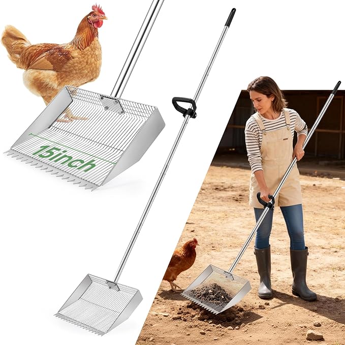 Chichen Poop Scooper Rake: 15in Extra Large Rake and Shovel,Chichen Pooper Scooper with Plastic Handle,Metal Chicken Coop Accessories,Tool for Manure Cleaning in Small Poultry and Stable