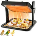 Brooder Heater for Chicks – 10.8" Radiant Heat Plate with Adjustable Height & Angle, Thermostat Control (113–158 ℉), Safe & Even Warmth for up to 15 Baby Chicks