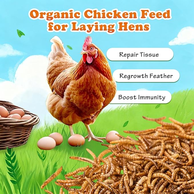 Amzey Dried Mealworms 5 LB, 100% Natural Meal Worms for Chicken & Birds, Organic Chicken Feed for Laying Hens, High Protein and Nutrition, Zipped Bag