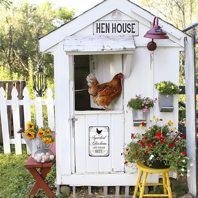 Farmhouse Chicken Coop Sign - "Spoiled Chickens Lay Better Eggs" Aluminum Decor, 12" x 8", Perfect for Chicken Coop Accessories and Country Farm Decor (9662）