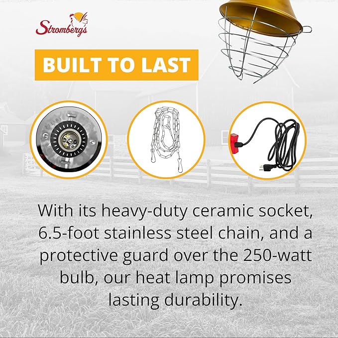 Stromberg's Heat Lamp with Safety Switch, Stainless Steel, Chicken Coop, Reptiles, Piglets, Infrared Light, Baby Lambs, Baby Goats, Newborn Livestock, Puppies, 250W, 6.5 Foot Cord