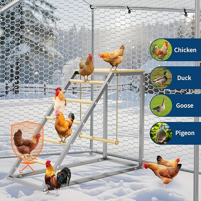 Chicken Perch for Coop, Heavy-Duty Roosting Bars for Chicken in Coop, Sturdy Poultry Ladder for Hens, Perfect for Backyard Poultry, Easy Assemble & Clean