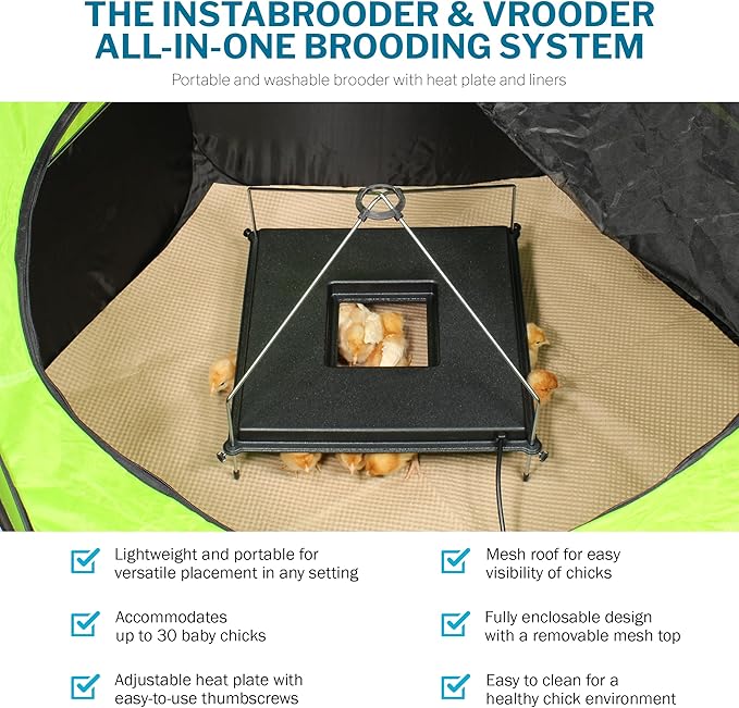 Incubator Warehouse Insta Brooder™ with Vrooder™ Heater Plate - Chicken Pop Up Playpen with Removable Mesh Top - Portable and Foldable Chicken Pen - Indoor Brooder Box for Chicks (36 x 36 x 18 inches)