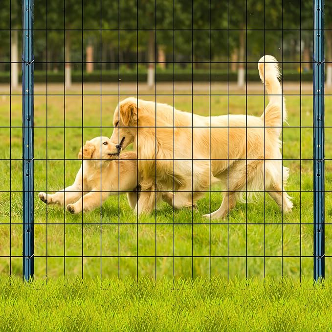 3ft x 50ft Black Vinyl Coated Welded Wire Fence - 14 GA Heavy Duty Garden Fencing, 2"x3" Mesh Rustproof Deer Barrier, Chicken Coop Poultry Run, Dog Fence & Garden Protector for Vegetables