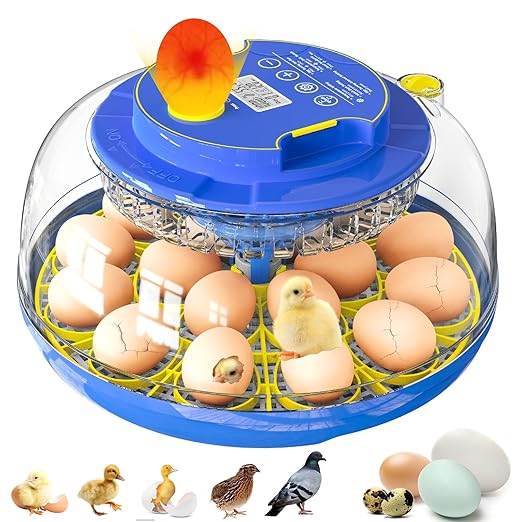 Incubators for Hatching Eggs, 18 Eggs Incubator with Automatic Egg Turning and Temperature & Humidity Control, 360° Full Viewing Eggs Candler for Hatching Chicken, Duck, Quail, Goose, Parrot