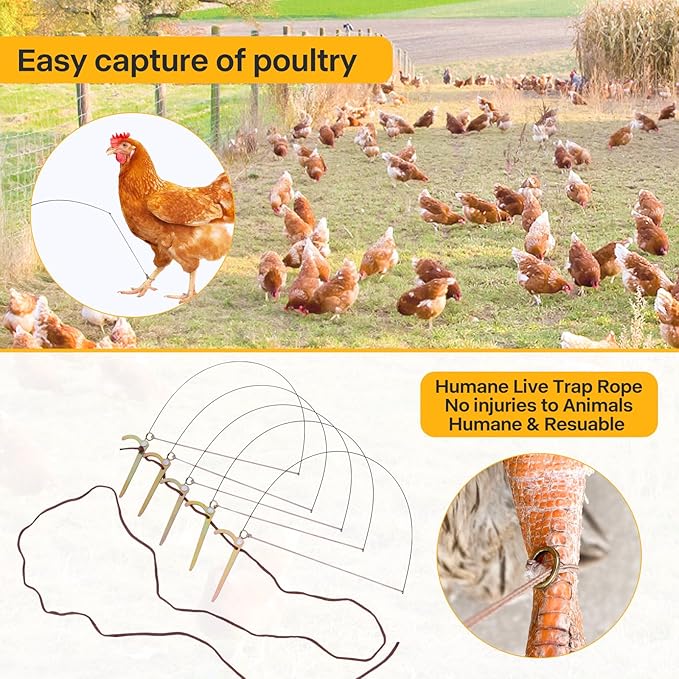 Professional Bird Trap Hunting Trap for Birds Bird Trap for Chicken, Pheasant，Wild Duck, Partridge Mallard and Other Birds Tying Birds' feet Won't Hurt Them