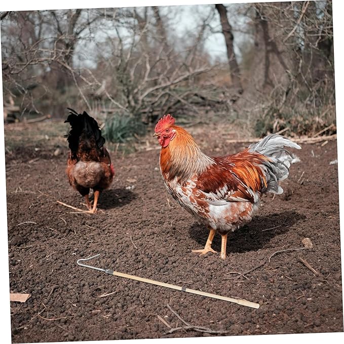 Chicken Catcher Hook Poultry Handling Tool for Effortless Chicken Capture Farms Versatile Efficient and Easy to Use Catching Device