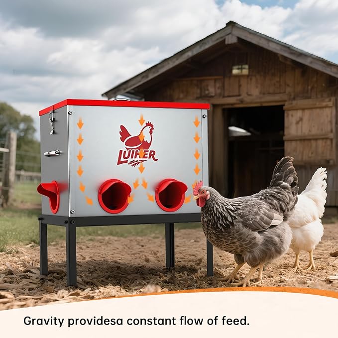 chicken food dispenser 25LB no waste chincken feeder 6 Ports Large Capacity Galvanized Metal Poultry Feeder with Legs and Lids - Reduces Refilling Frequency Chicken Feeding Equipment for Hen Coop