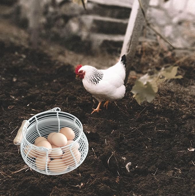LINCOUNTRY.Chicken Egg Basket for collecting Eggs,Farmhouse Wire Egg Basket for Gathering Fresh Eggs with Handle Vintage Cream Metal Basket for Countertop Kitchen Storage