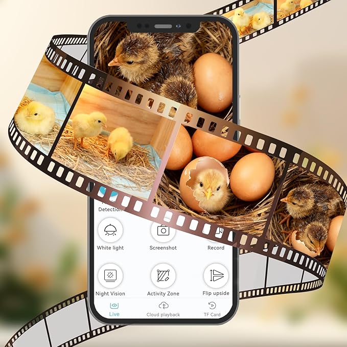 Chicken Brooder Box with Camera : 2.5K HD 5G Chicken Watching Camera, Adjustable Temperature Control Brooder Box for Small Chicks, Ducks, Quails, Idea Gift Christmas (15.7x12x12 Inches) ﻿