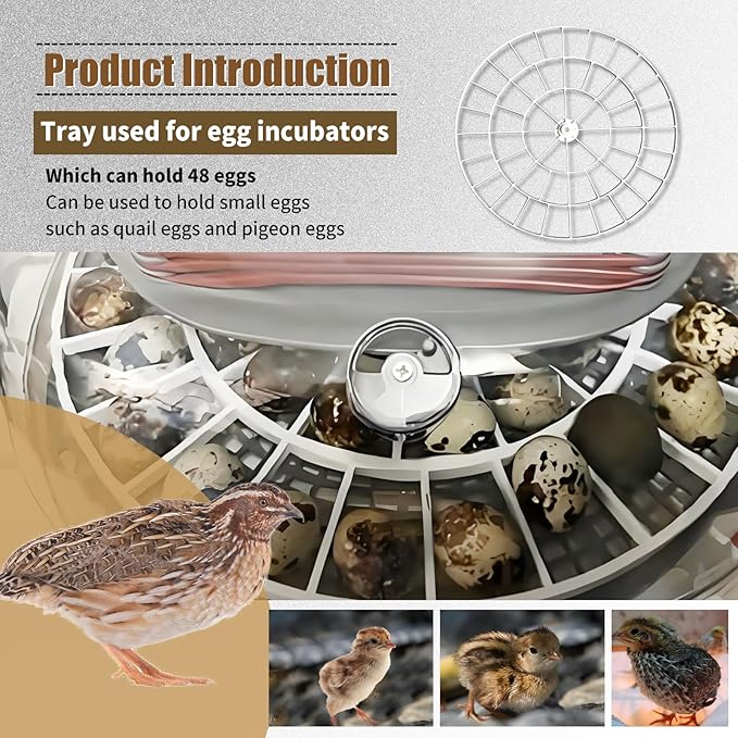 48 Slot Small Egg Turner Trays Compatible with Nurture Right 360 Incubator Turner Tray for Small (Quail/Bird), Egg Rotating Tray -Egg Turning Rack Easy Use
