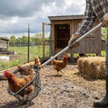 Chicken Catching Net, Telescopic Chicken Catcher with Stainless Steel Tube Extension, Poultry Hook for Birds, Dogs, and Small Animals, Décorations de Jardin