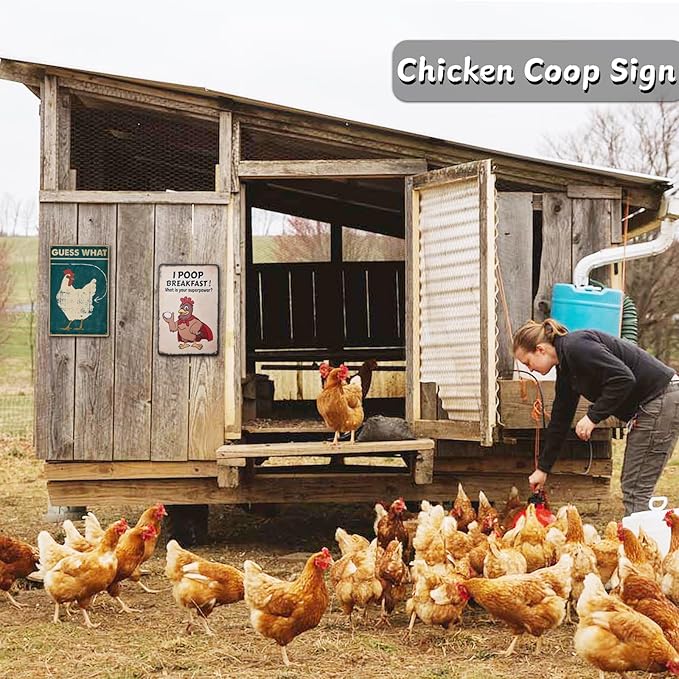 2 pack Funny Chicken Decor -Metal Chicken Coop Sign for for Farm Yard Decor, Farm Signs for Home Kitchen Outdoor Decor 12" * 8"