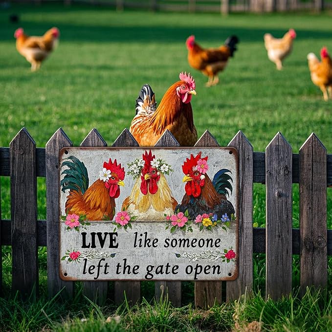 Chicken Wall Decor Sign Live Like Someone Left The Gate Open Tin Poster Funny Farm Chicken Coop Metal Tin Signs 12x16 Inch Home Kitchen Garden Restaurant Rooster Outdoor Yard Wall Art Decor
