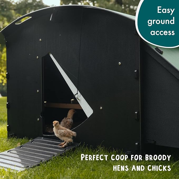 Nestera Plastic Chicken Coop - 25yr Lifespan, Large Ground Coop for 4-8 Chickens, Easy to Clean, UV Resistant, Predator Proof
