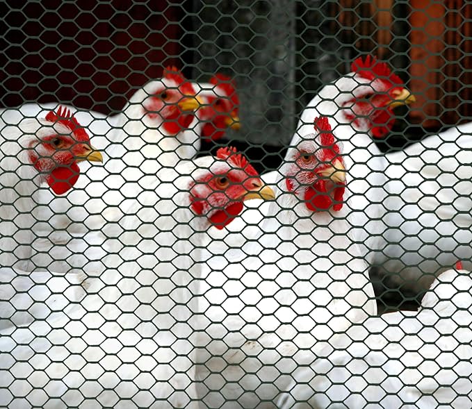 Boen - Plastic Hex Chicken Wire Mesh Temporary Fence Roll (3' x 25' - Green) - Plastic Fence Poultry Netting for Temporary or Semi Permanent Enclosures, Deer Netting Fence, Construction Fencing