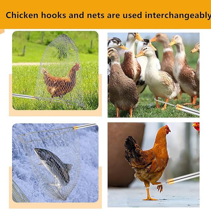Chicken Catcher,74 inches Adjustable Pole Chicken Catcher Leg Hook, Suitable for Catching Small Duck,Goose,Bird,Fish, Skunk Bat and Raccoon etc（15.3 x 23.2 Inch Net with 75.5 Inch Pole）