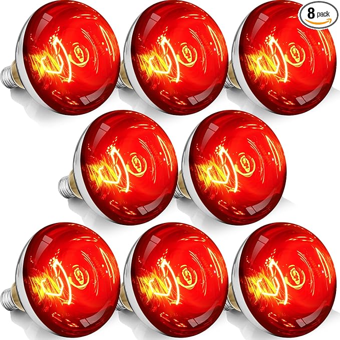 250W R40 Red Heat Lamp Bulbs, 8000 Hours Rated, Infrared Flood Light, Brooder Heating Lamp for Chickens, Reptiles, Pets, Bathroom, E26 Base - 8 Pack