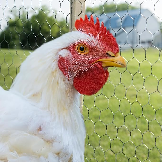 YARDGARD – 2 Inch Twisted Mesh Wire Fence – 36 Inches by 150 Feet – 20 Gauge Galvanized Steel Poultry Netting – for Chicken Coops | Garden Protection | Animal Enclosures and Farm Projects