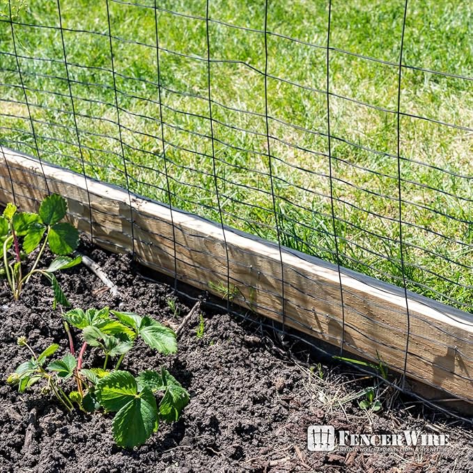 Fencer Wire 16 Gauge Black Vinyl Coated Rabbit Guard Fence, Poultry Fencing Wire Roll for Garden Yard Vegetable Plant, Protecting Against Rabbits, and Other Small Animals Damage (24 in. x 50 ft.)