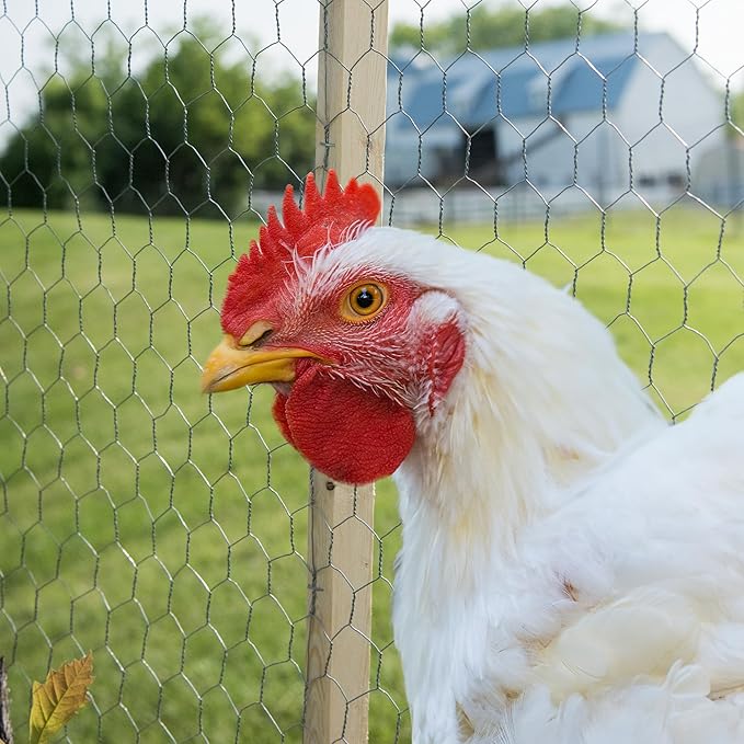YARDGARD – 2 Inch Twisted Mesh Wire Fence – 48 Inches by 150 Feet – Heavy‑Duty Galvanized Steel – for Poultry Netting | Chicken Wire Fencing | Garden and Farm Enclosures