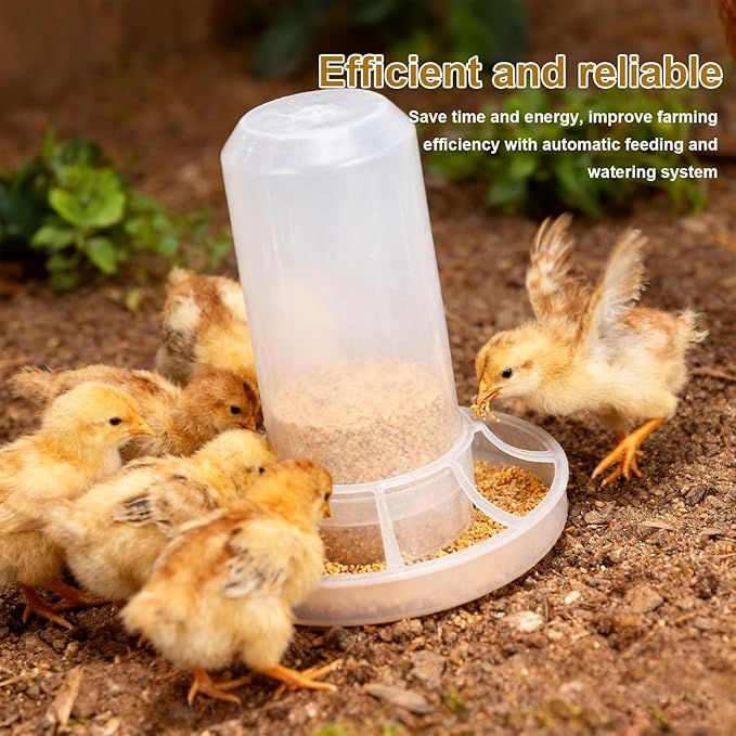 Diydeg Chick Feeder and Waterer Kit, Automatic Chicken Feeder Poultry Feeder Water Container Poultry Drinker Automatic Chicken Feeder and Waterer for Baby Chicks, Ducks, Quail