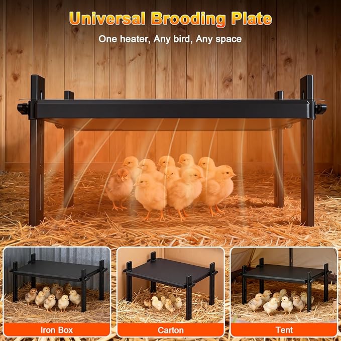 15" x 12.6" Large Chicks Brooder Heater for 20 Chicks - 49W Height & Angle Adjustable Chick Brooder Heating Plate, Constant Temperature Brooder Plate for Chicks, Ducklings & Quails