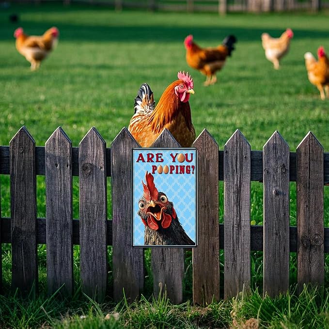 Funny Bathroom Signs Vintage Chicken Are You Pooping Metal Sign Home Chicken Toilet Wall Art Decor Humorous Restroom Kitchen Poster 12x8 Inch