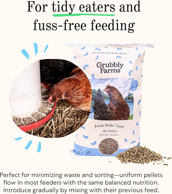 Grubbly Farms Fresh Pecks Layer Chicken Feed Pellets - 16% Layer Feed for 20+ Week Old Hens, Batams, and Larger Breeds - Contains Black Soldier Fly Grubs - No Soy, Corn, or Fish - 30 lb Bag