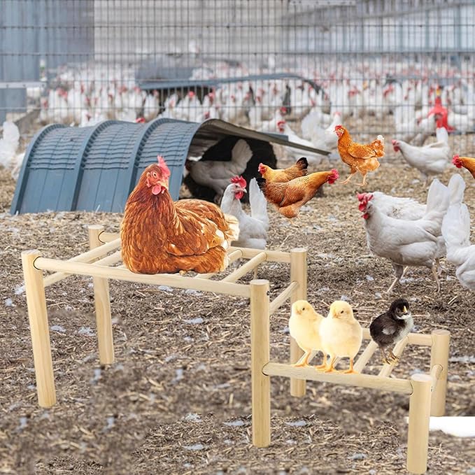 Chicken Perch for Inside Coop Roosting Bar Wooden for Platform Easy to Assemble Standing Rack Frame for