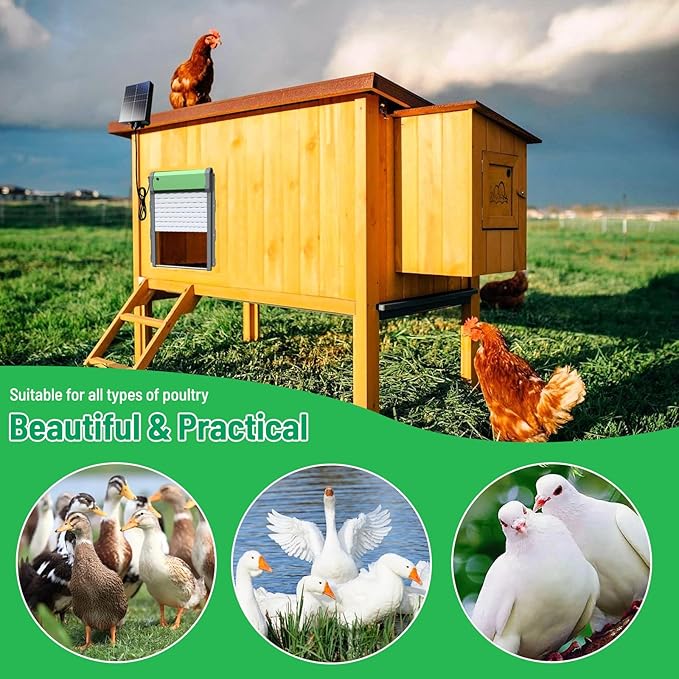 Automatic Chicken Coop Door, Solar Powered Door Opener with Timer & Light Sensor, 4 Modes IP65 External 2000mAh Power Supply Connection with Remote Control & Anti-Pinch Function for Family, Farms