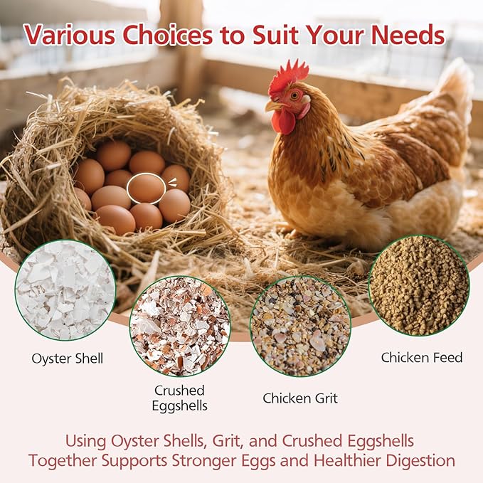 2Pack Chicken Grit and Oyster Shell Feeder for Hens – US Patent Pending – Heavy-Duty Metal Chicken Feeder with Rounded Edges – Chicken Coop Accessories Improve Eggshell Quality and Hen Health