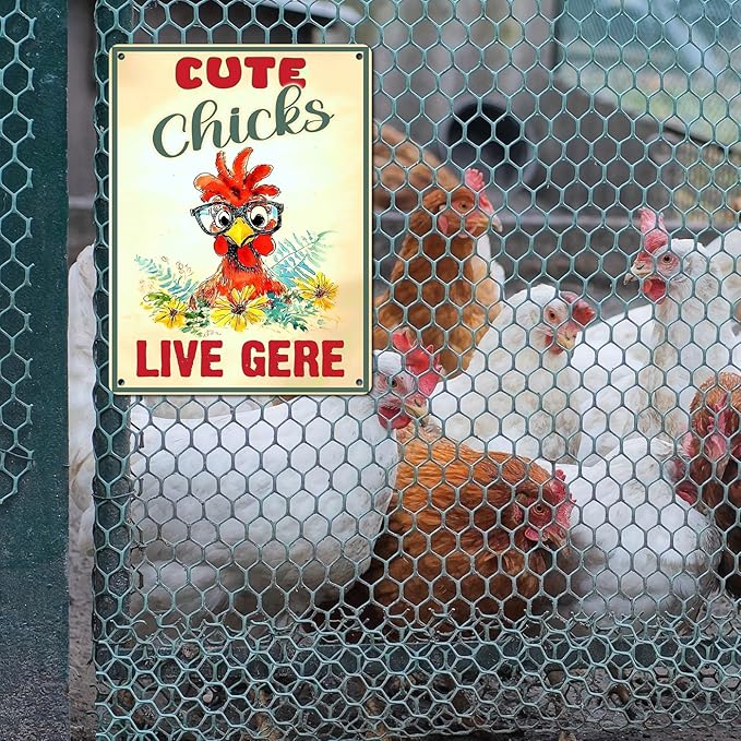 Vintage Chicken Sign Cute Chicks Live Here Metal Country Chicken Hen Rooster Tin Signs Funny Coop Signs Outdoor Decor for Lovers House Decor 12 * 16inch