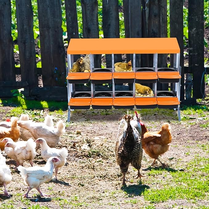 10 Hole Chicken Nesting Boxes - Nesting Boxes Chicken with Roll Away Design & Lid Cover,Easy Egg Collection, Hen Roosting Nest, Durable Poultry Laying Boxes for Hens