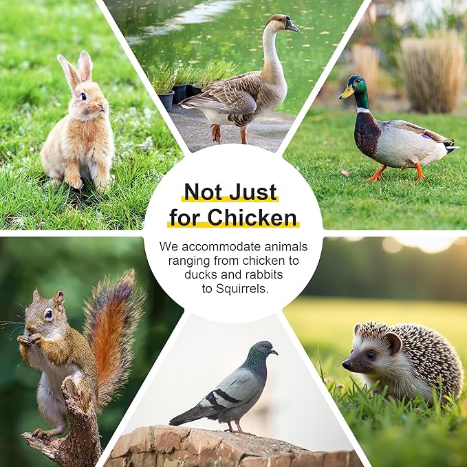 Chicken Coop Run Rabbit Cage No Assembly Portable Chicken Run Bunny House with Top & Side Opening Doors,Outdoor Small Animal Playpen Wooden Chicken Brooder Box Guinea Pig Cage 45"x 42"x 20"