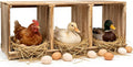 Nesting Boxes for Chickens, Oltara 3 Compartment Carbonized Wooden Egg Laying Nest Box for Chickens, Hens, Ducks