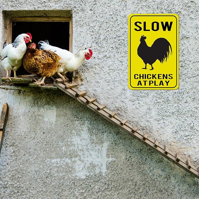 Chicken Coop Tin Sign for Home Farm Kitchen Outdoor Decor, Funny Chicken Saying, 12x8 Inch, 3 Styles (Color 2)