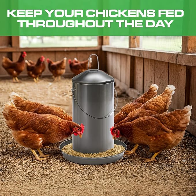Plexon 8.8 Lb Poultry Feeder Stainless Steel Hanging Chicken Feeder no Waste Food-Grade with 6 Gallon Galvanized Storage Bucket with Locking Lid for Bird Seed Chicken Feed, Bundle