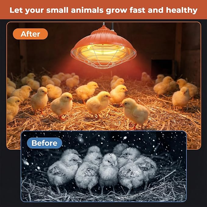 Chicken Heater Lamp, 175W/350W Dual-Mode Brooder Heater Bulb Chick Heater, Hanging Light Heated Adjustable Temp & Height for Chicks, Poultry & Ducklings
