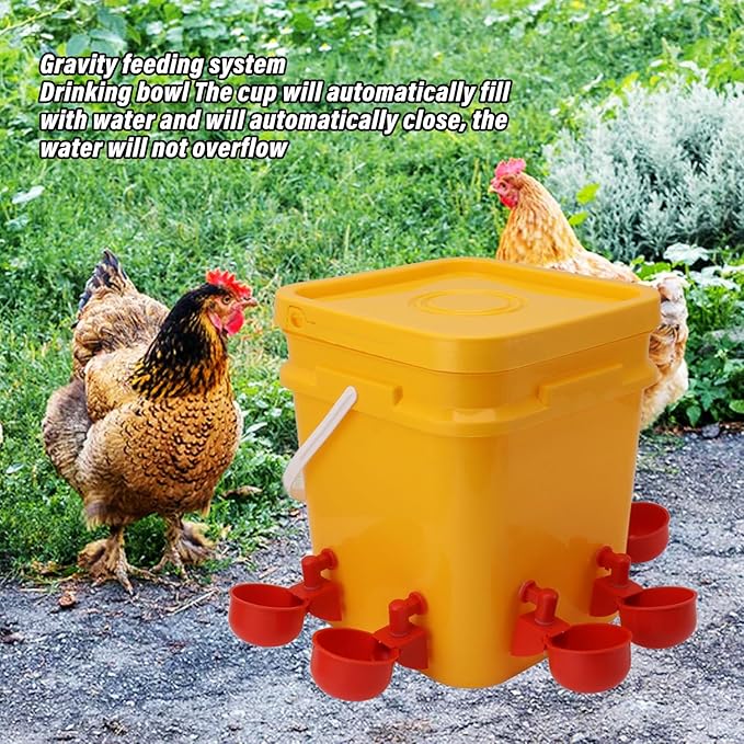 High Capacity Automatic Chicken Waterer Bowl with 12L Handheld Bucket Gravity Watering System for Quail, Easy Installation - Durable Plastic (Bucket + Conjoined Red Bird Bowl+ Black Screws)