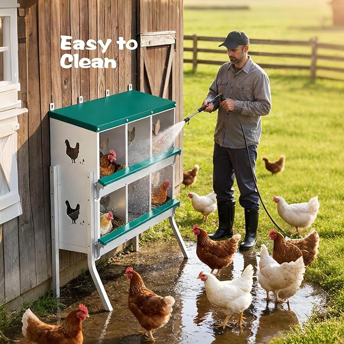 Chicken Nesting Box 6 Compartment with Legs 10 Pet Moisture Pads and 4 Fake Eggs Roll Away Egg Collection, Perch, Lid Cover for Egg Protection - Wall Mount Nest Box for Chickens, Hens, Ducks
