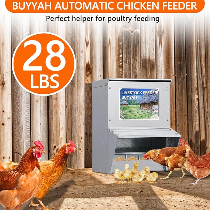 Automatic Chicken Feeder, 28 lbs Capacity, Galvanized Metal Poultry Feeder, Waterproof Chicken Feeder, Suitable for Poultry, Geese, Quails, Bantams, Ducks and Turkey