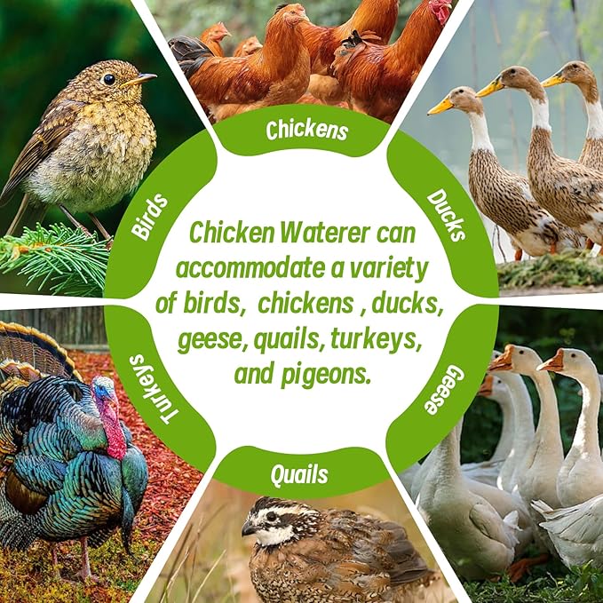 Heated Chicken Waterer 6L Thermostatically Controlled Poultry Water Heater with Overheating Protection, Galvanized Steel Handle Automatic Heated Poultry Drinker for Coop Chickens, Ducks, Geese (Green)